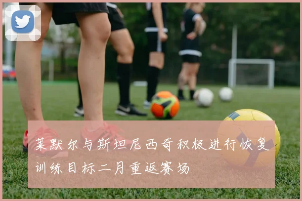 莱默尔与斯坦尼西奇积极进行恢复训练目标二月重返赛场